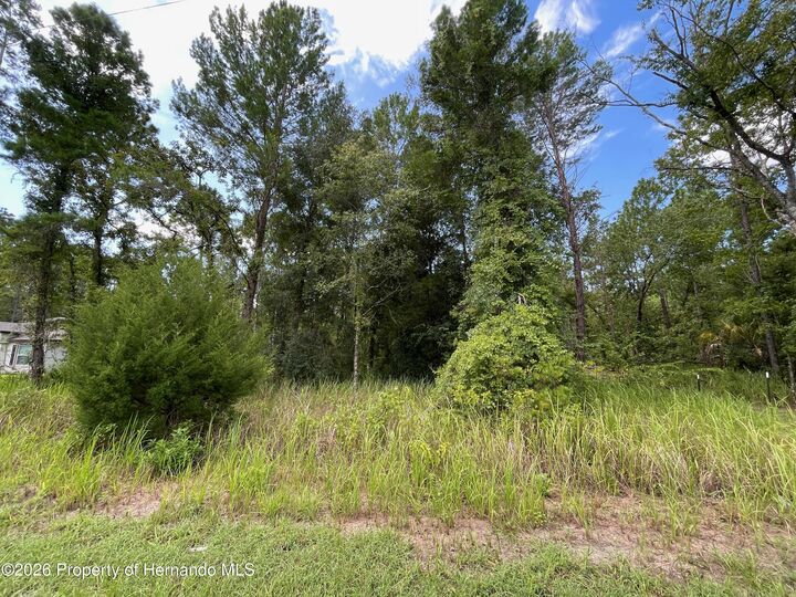 Property Photo: 0 Thrasher Avenue FL 34614