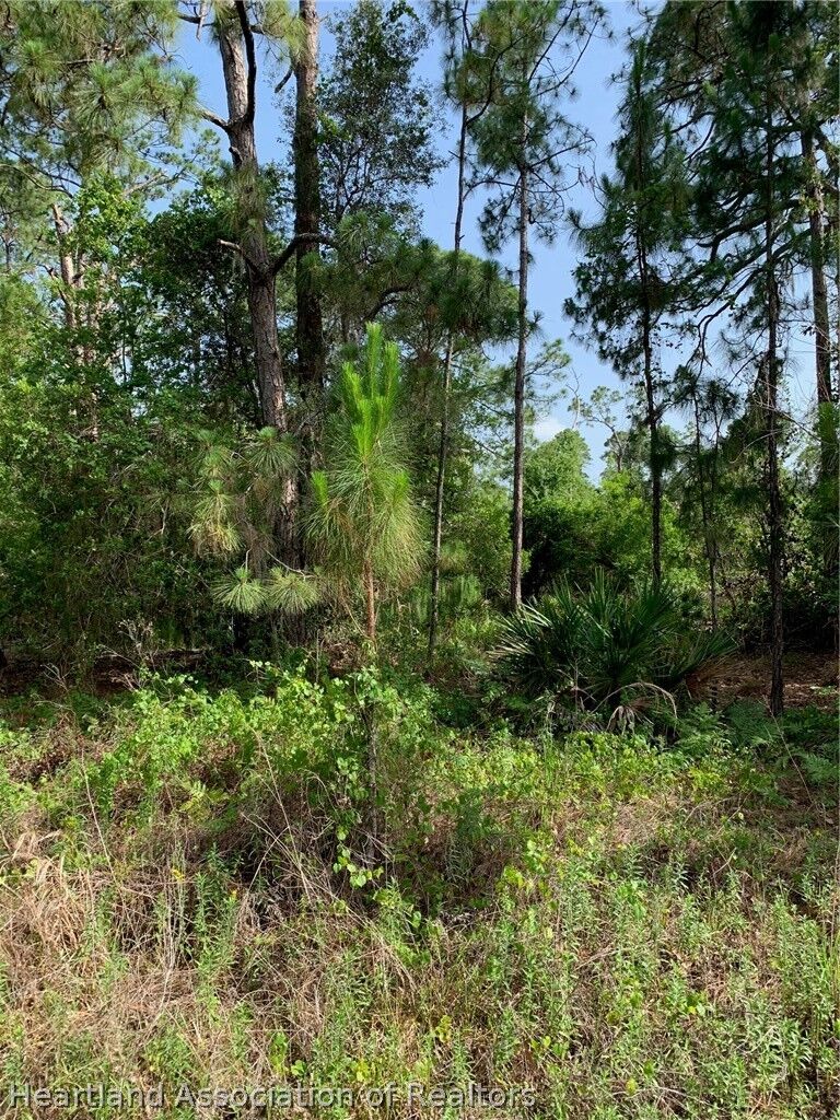 Property Photo:  10828 Bending Oak Drive  FL 33875 
