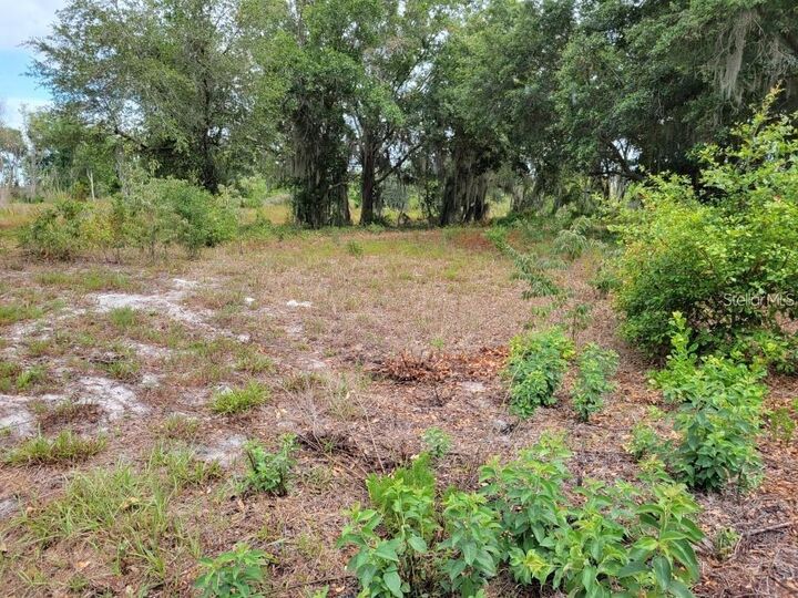 Property Photo: E Lake Shore Boulevard FL 34744
