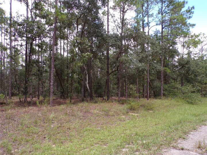 Property Photo: 601 E Marquette Lane FL 34434