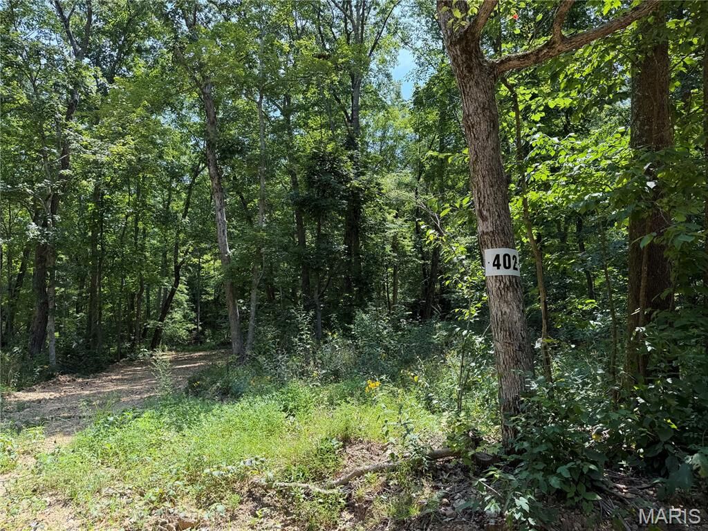 Property Photo: #402 Madison 410 MO 63645