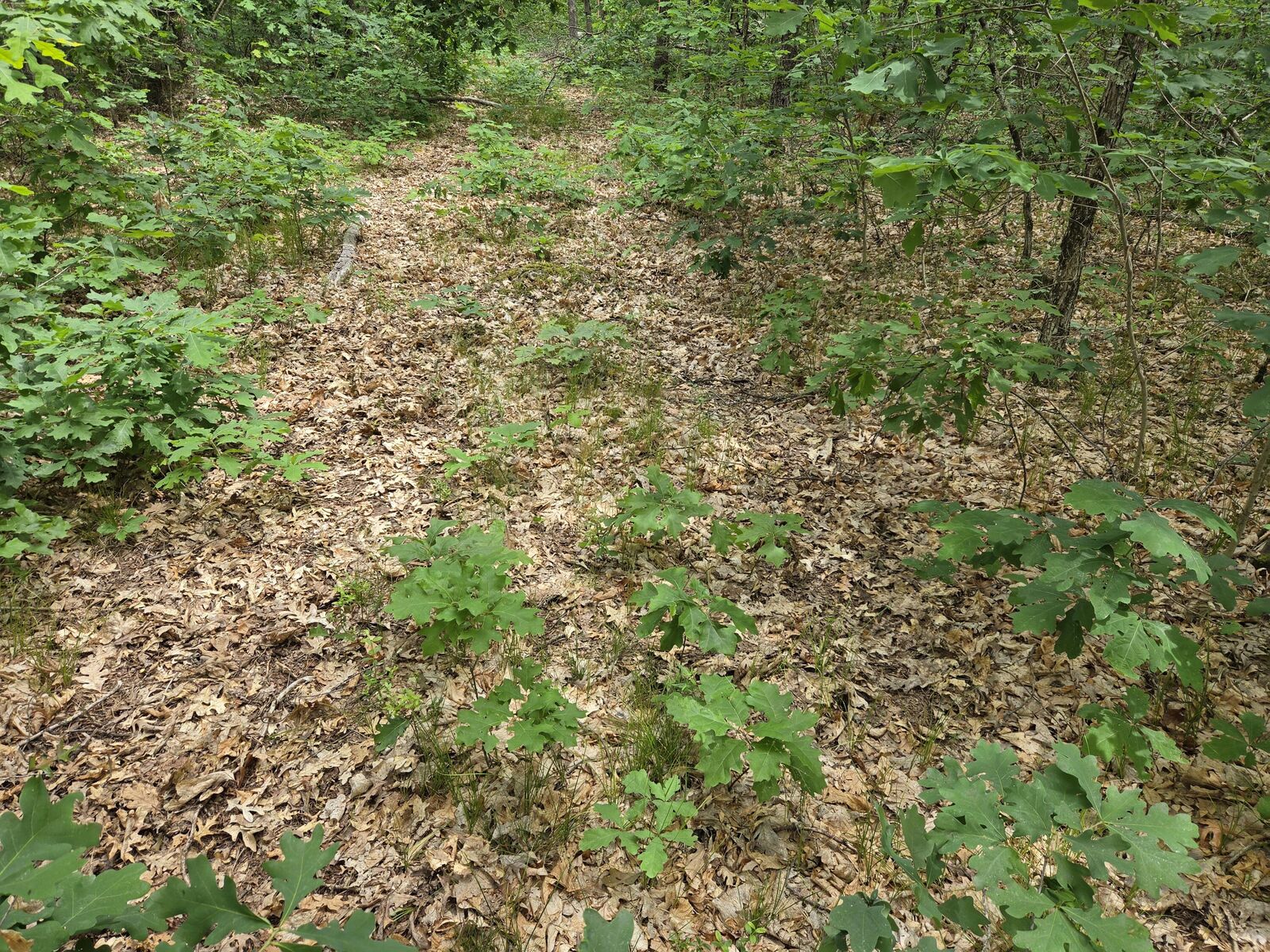 Property Photo: V/L 10-13 W Oliver Road MI 49304