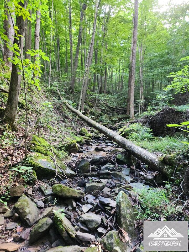 Property Photo:  900 Hayes Valley Rd.  WV 24739 