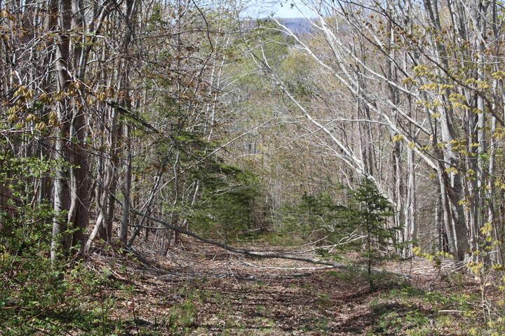 Property Photo:  Highway 1  NS B0S 1E0 