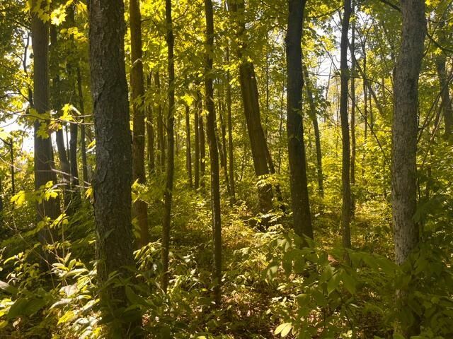 Property Photo: Lot 1 County Road Bb WI 54028