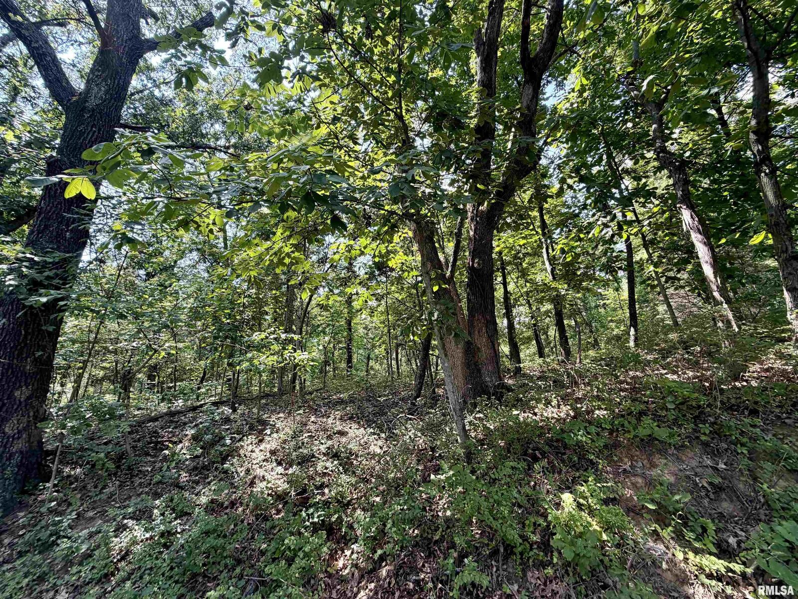 Property Photo: Tbd E County Road 00 E Road IL 62869