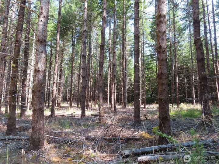 Property Photo:  0 Xxx  Chandler Road  WA 98572 