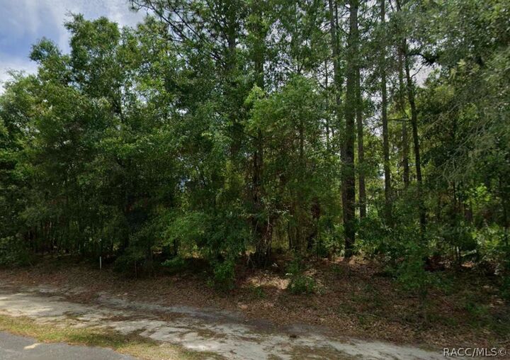 Property Photo: 660 W Anderson Lane FL 34434