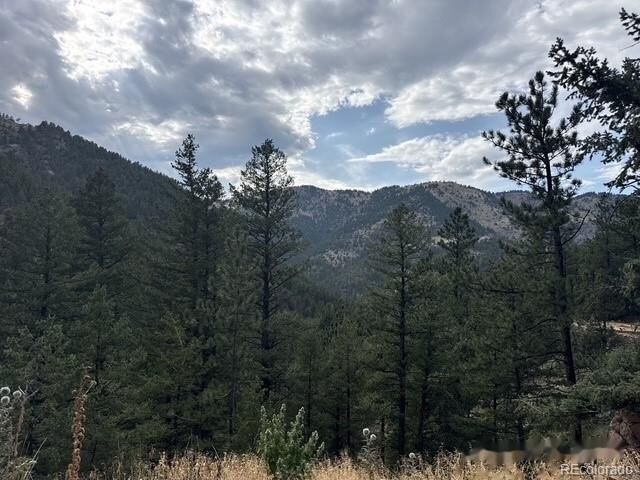 Property Photo:  397 Glendale Gulch Road  CO 80455 