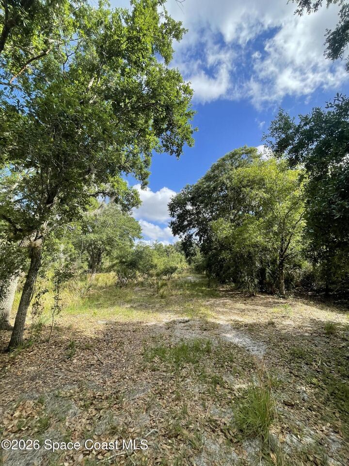 Property Photo: 000 Willowbrook Drive SE FL 32909