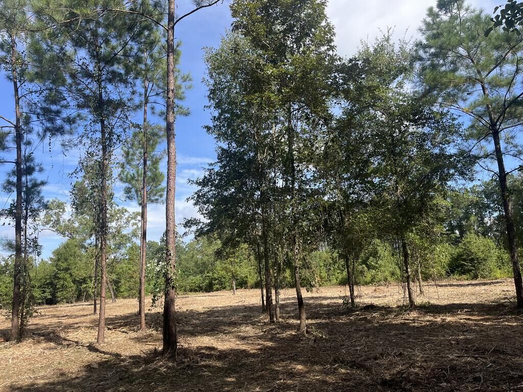 Property Photo:  00 U.s. Highway 319 North (7.8 Acres)  GA 31757 