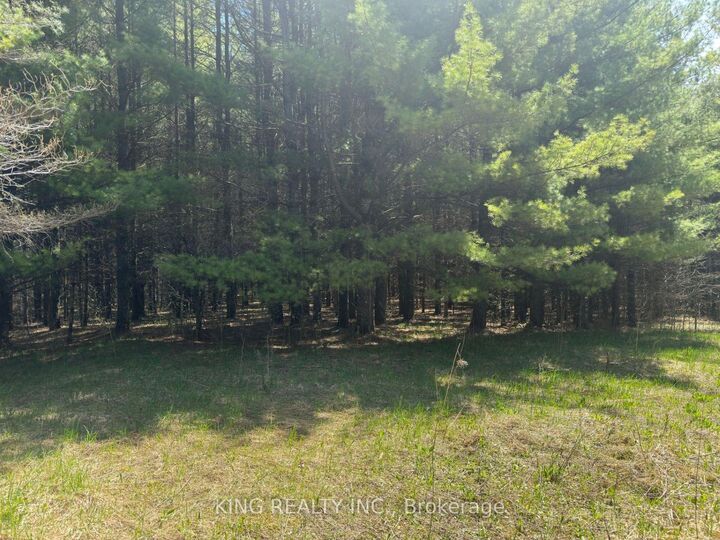 6081 Hwy 89, Clifford Road — photo 1
