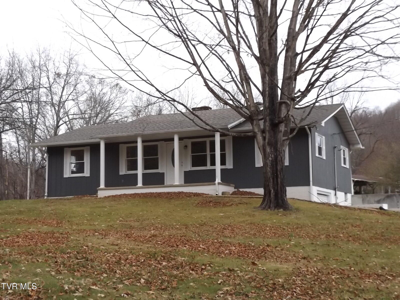 Property Photo: 186 Fitzsimmons Hill Road TN 37643