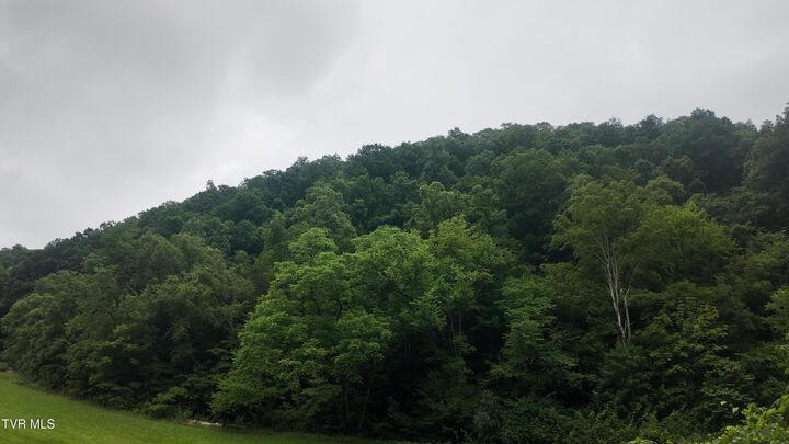 Property Photo: 0 Ford Branch Road VA 24244
