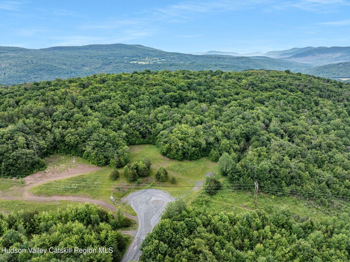 Property Photo: L35 Overlook NY 12452