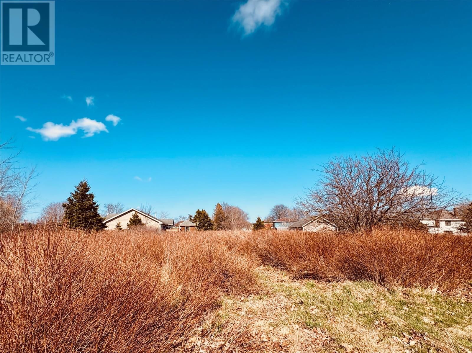 Property Photo:  51A Whites Road  NL A0A 0H2 