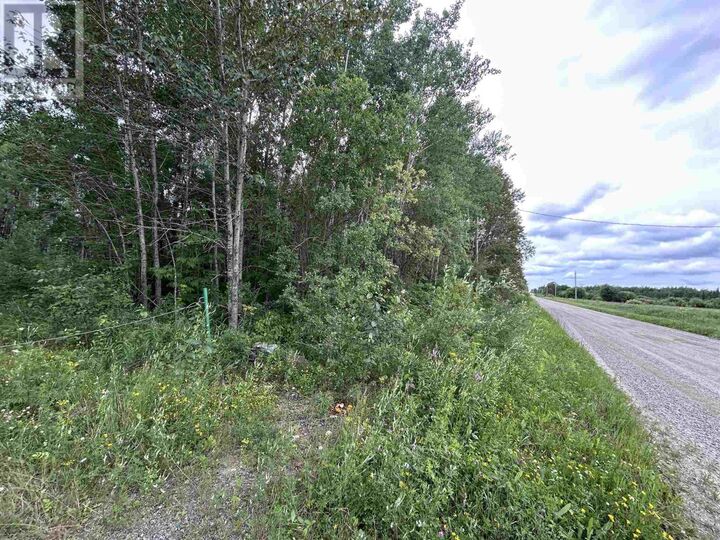 Property Photo: 905 Frog Creek Rd ON P9A 3M2