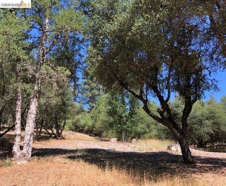 Property Photo: 21930 Lyons Bald Mountain CA 95370