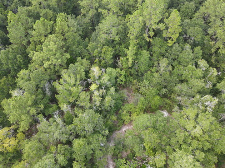 Property Photo:  4.41 Ac Summertime Drive  FL 32564 