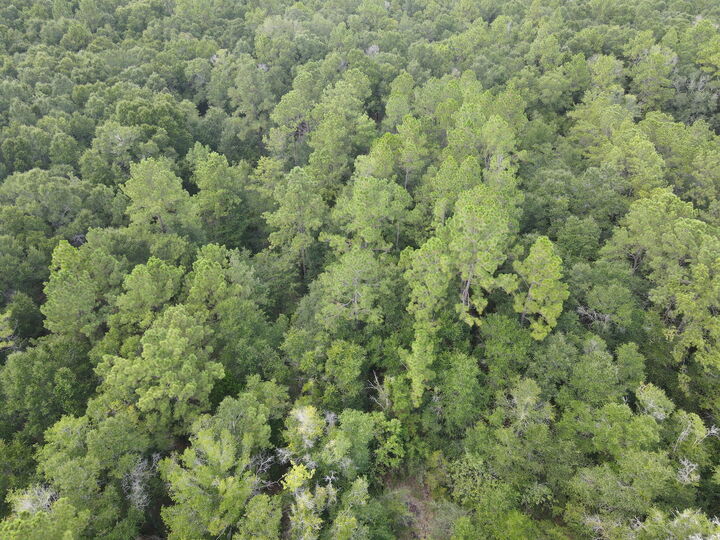 Property Photo:  4.41 Ac Summertime Drive  FL 32564 