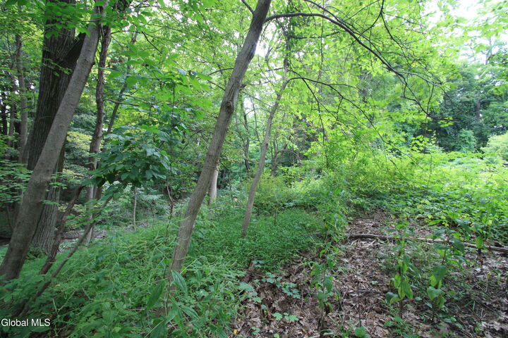 Property Photo: 31-33 Spring Street NY 12534