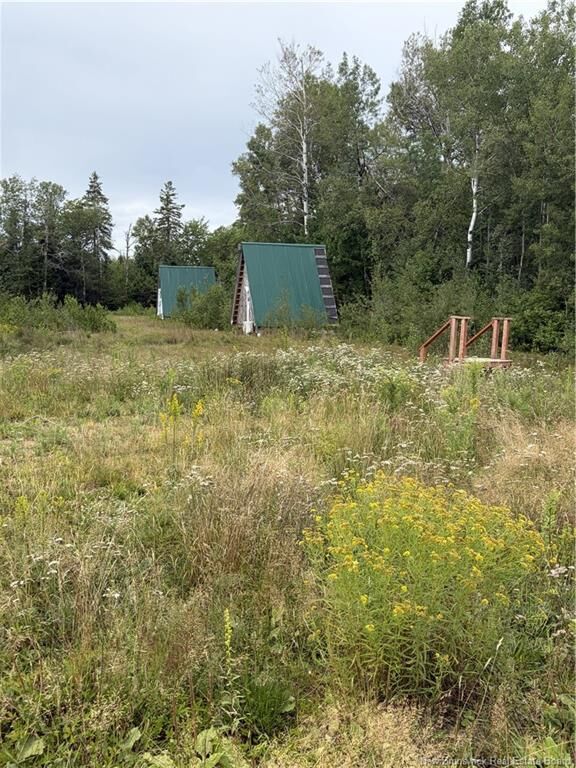 10035 Route 11 — photo 1
