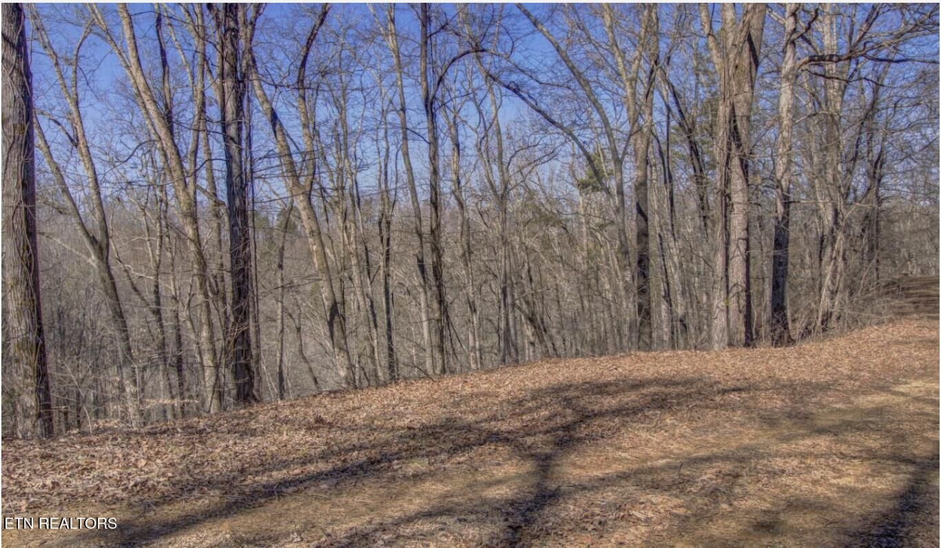 Property Photo:  4585 Crooked Creek Way  TN 37803 