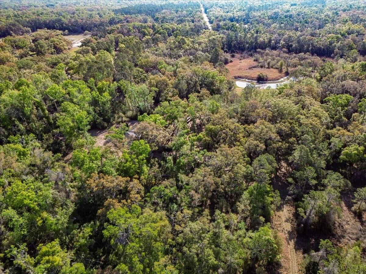 Property Photo:  957 NE 354th Avenue  FL 32680 