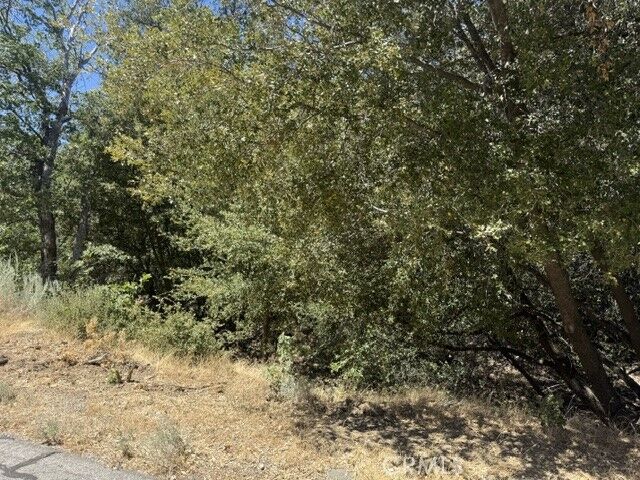 Property Photo: 22301 Bernina Way CA 93561