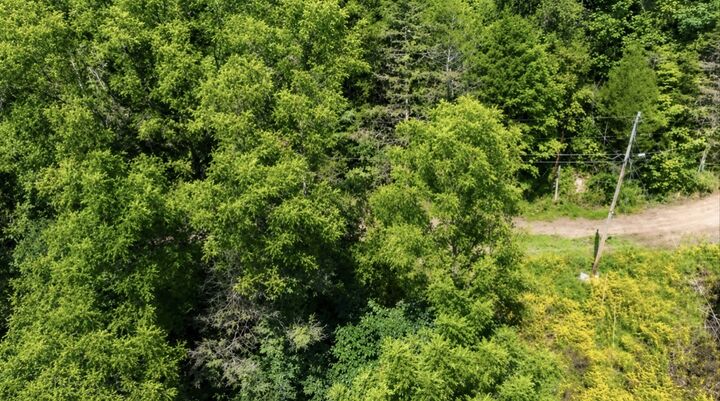 Property Photo:  465 Halls Hollow Rd  TN 37166 