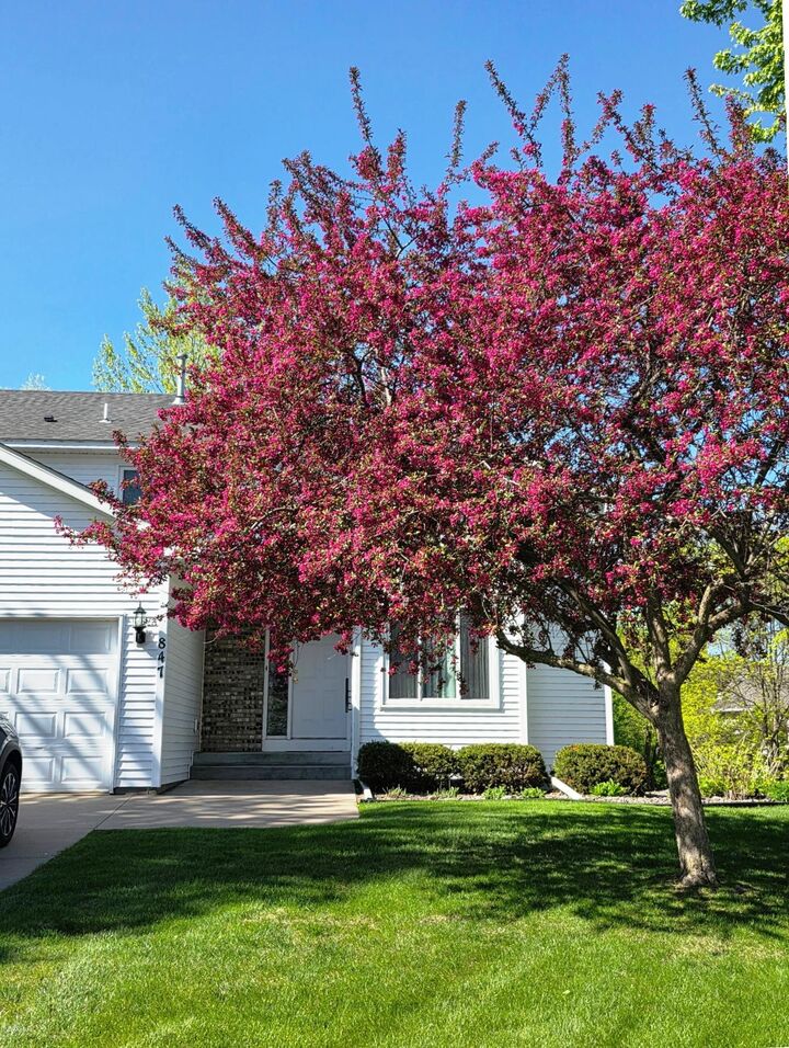 Property Photo: 847 Vista Circle MN 55328