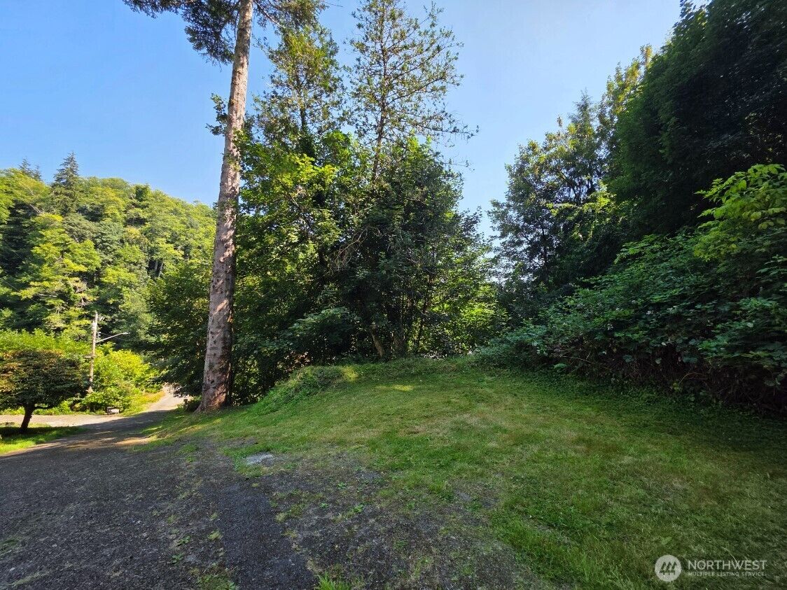 Property Photo: 0 Xx Friday Lane WA 98520
