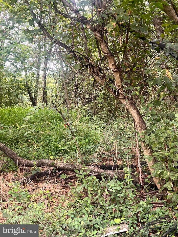 Property Photo:  Lot 15 Nameless Way  WV 25404 