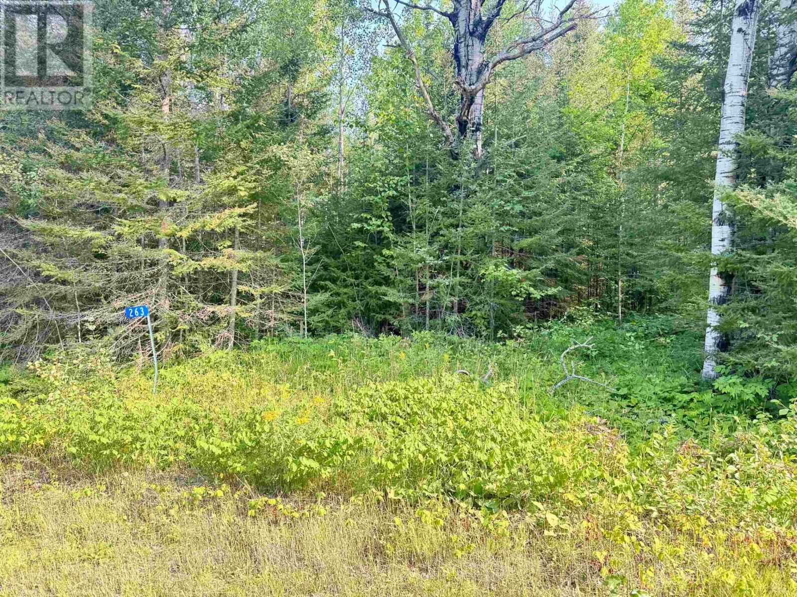 Property Photo:  263 Cloud River Rd E  ON P7L 0A9 