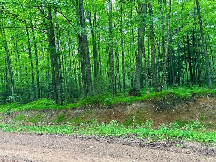 Property Photo:  Lot 1 Crane Foot Lake Road  WI 54435 