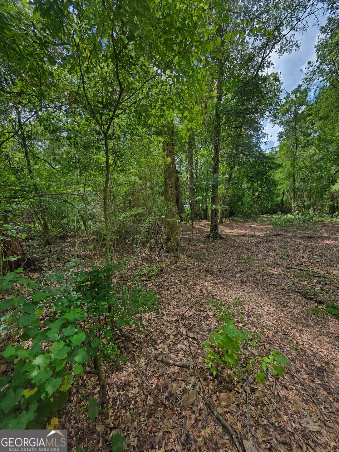 Property Photo:  0 Second Avenue  GA 31566 