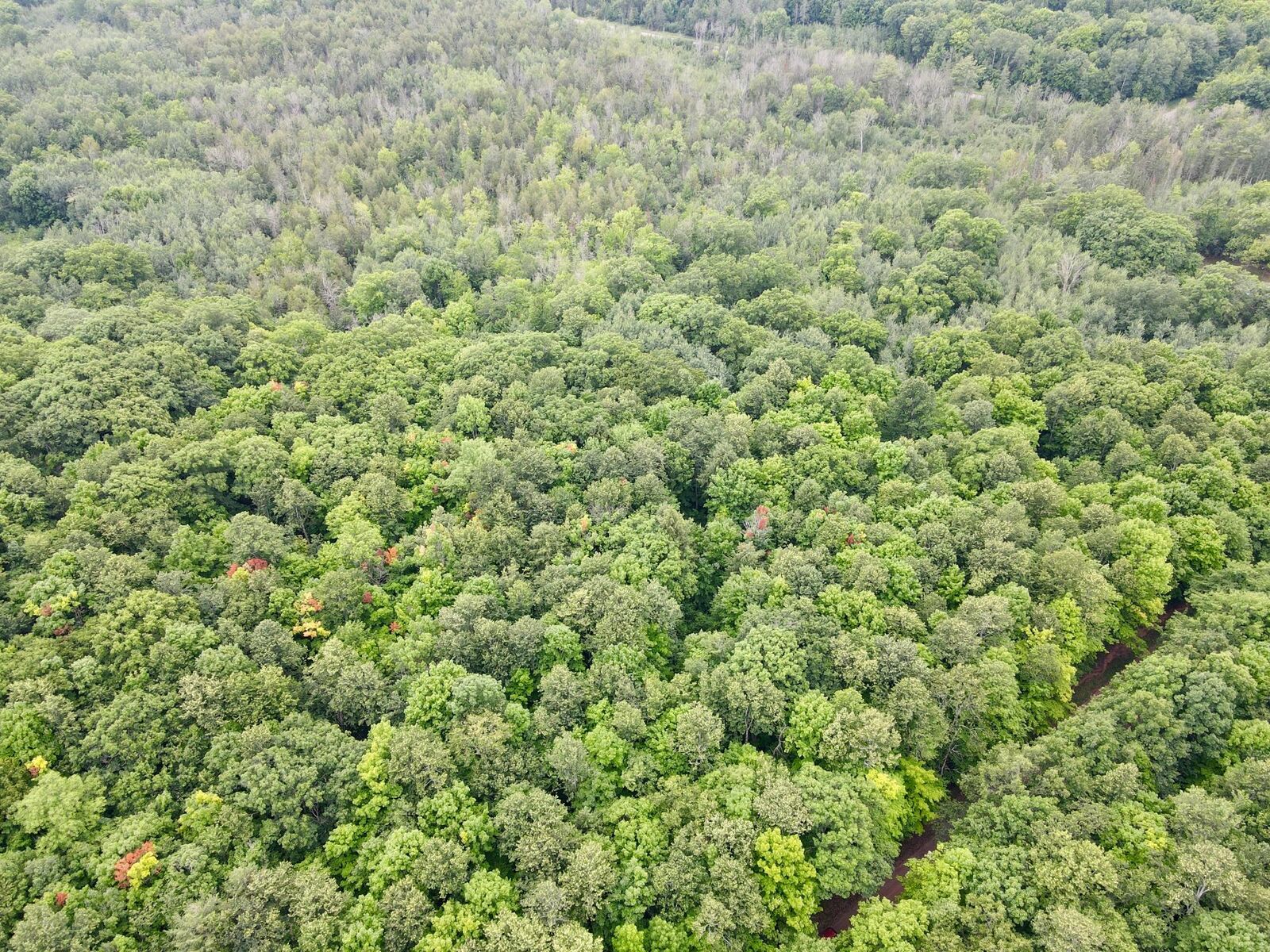 Property Photo:  Lot 2 Crane Foot Lake Rd  WI 54435 