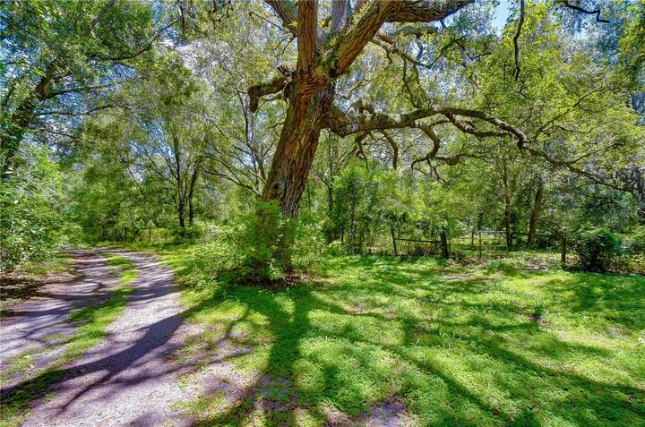Property Photo:  3801 Pate Road  FL 33541 