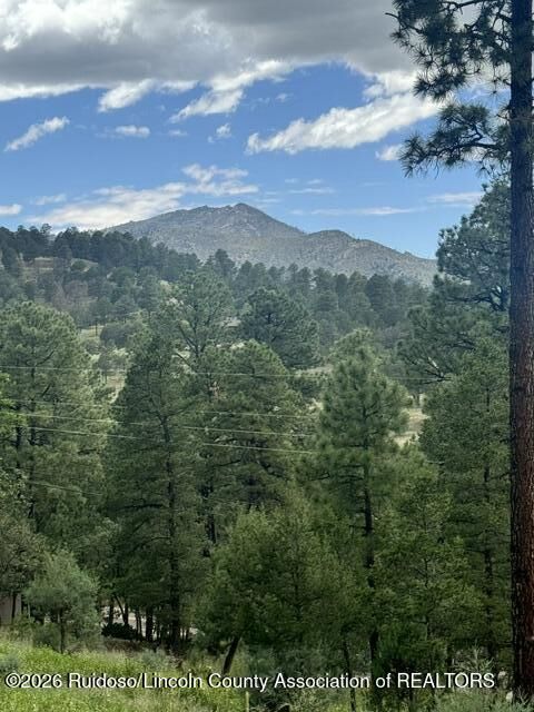 Property Photo: Lot 4 Alto Drive NM 88312