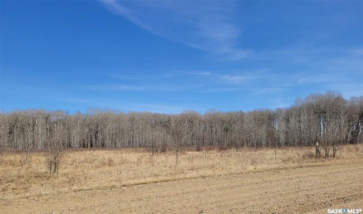 Property Photo:  17 Lakeshore Drive  SK S0A 0B2 