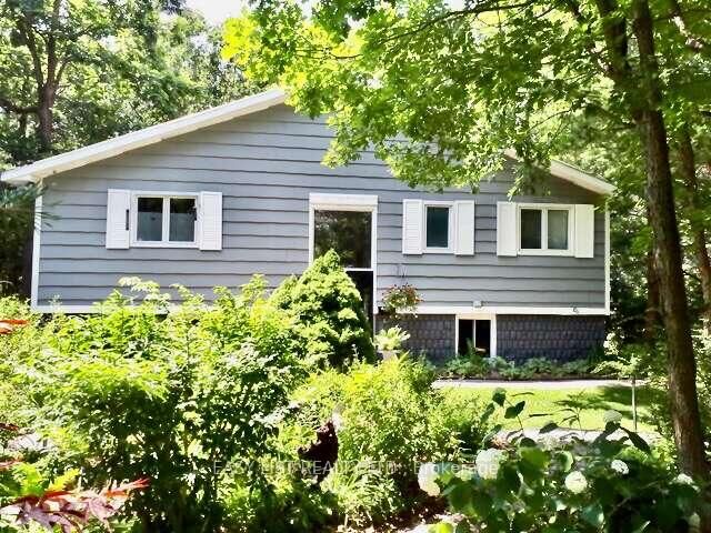 10161 Andrea Street — photo 1