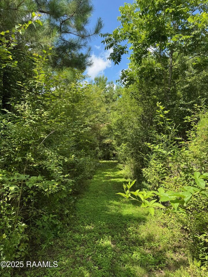 Property Photo:  Tbd Lot 3 Frozard Road 3  LA 70512 