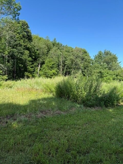 Property Photo: 304 Hulbert Hollow Road NY 14883