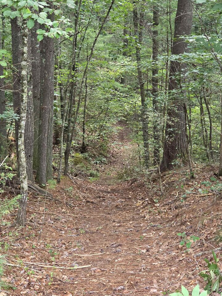 Property Photo: 574 Mountain Slope Ln VA 22652
