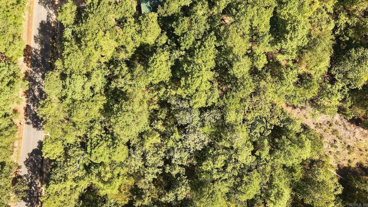 Property Photo: 0 Gold Nugget Loop AR 71913