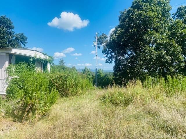 Property Photo: 378 Polk Road 136 AR 71937