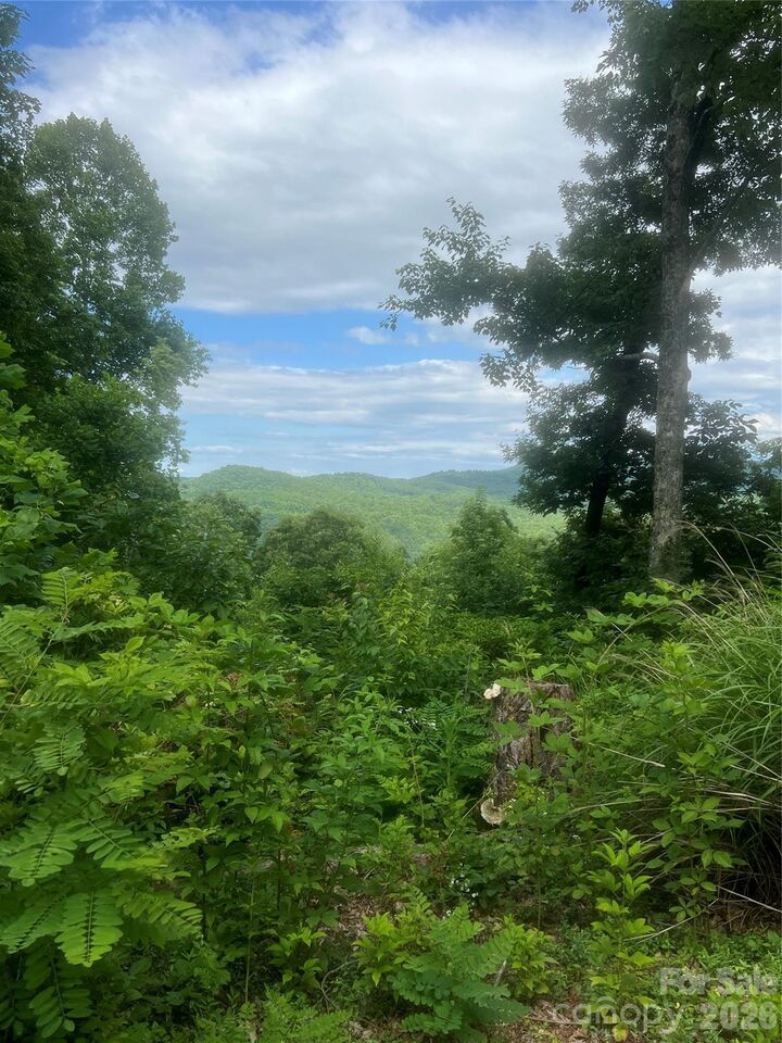 Property Photo:  71, 72, 73 High Peak Road  NC 28792 