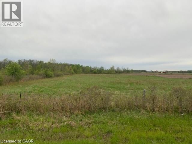 24 Walpole Road — photo 1