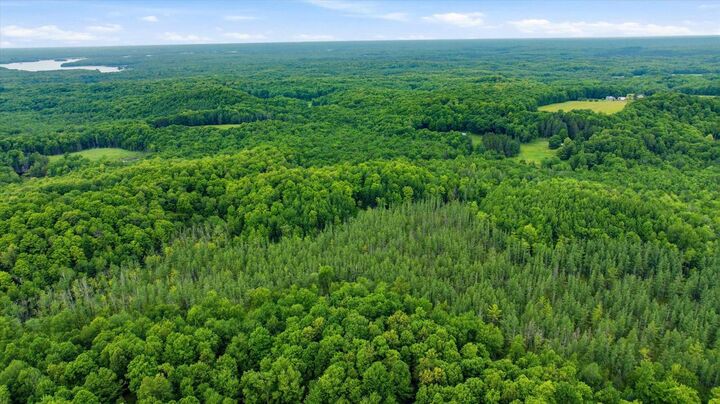Property Photo:  Brush Creek Road  WI 54451 