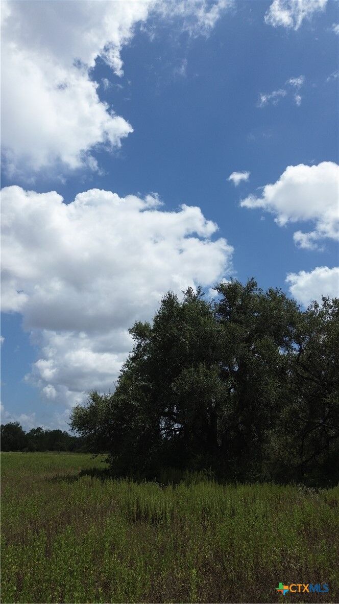 Property Photo:  635 Fm 622  TX 77905 